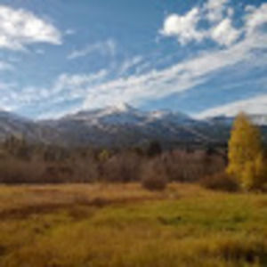 Meet your Posher, Mariellen